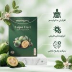 قرص لاغری نوتروپیک فیجوا اصل Feijoa Fruit برزیل ۴۰ عددی (چربی سوز قوی) - تصویر 2