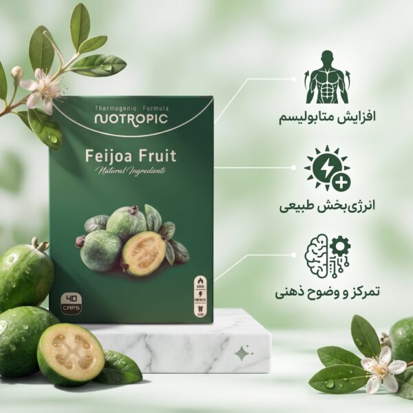 قرص لاغری نوتروپیک فیجوا اصل Feijoa Fruit برزیل ۴۰ عددی (چربی سوز قوی) - تصویر 2